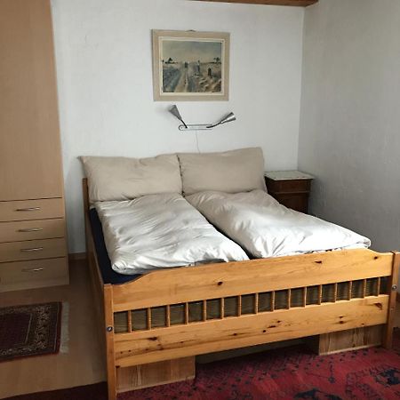 Apartament Renania Davos Zewnętrze zdjęcie
